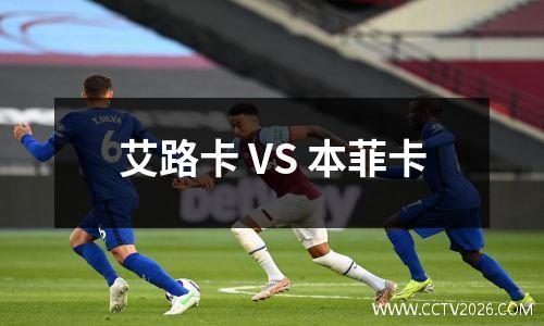 艾路卡 VS 本菲卡