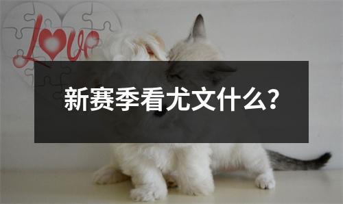新赛季看尤文什么？