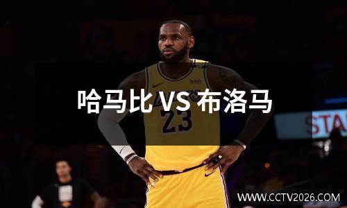 哈马比 VS 布洛马