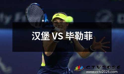 汉堡 VS 毕勒菲