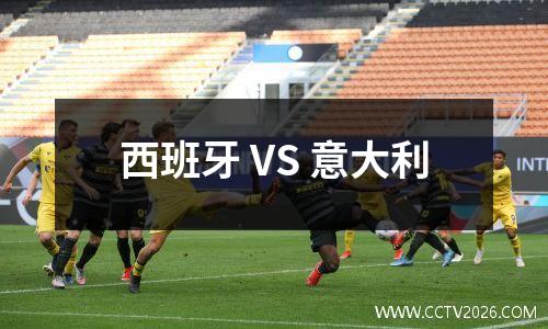 西班牙 VS 意大利