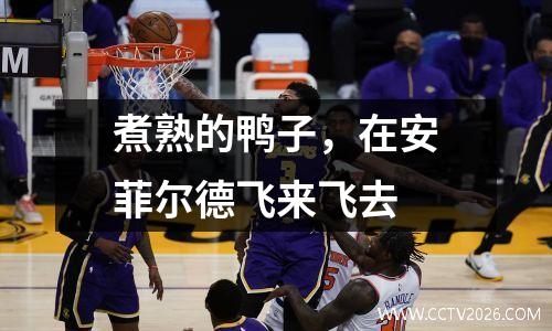 煮熟的鸭子，在安菲尔德飞来飞去