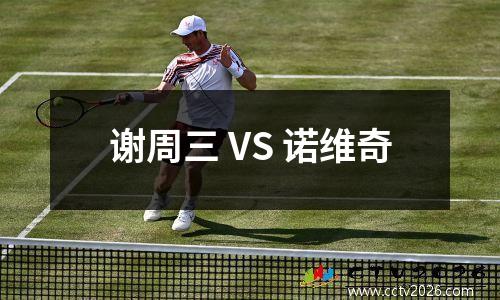 谢周三 VS 诺维奇