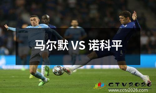 马尔默 VS 诺科平