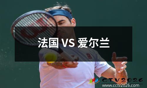 法国 VS 爱尔兰