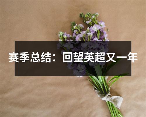 赛季总结：回望英超又一年