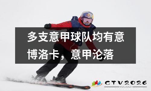 多支意甲球队均有意博洛卡，意甲沦落