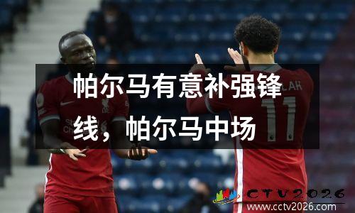 帕尔马有意补强锋线，帕尔马中场