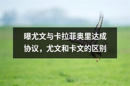 曝尤文与卡拉菲奥里达成协议，尤文和卡文的区别