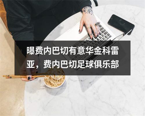 曝费内巴切有意华金科雷亚，费内巴切足球俱乐部