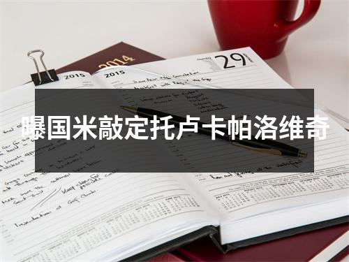 曝国米敲定托卢卡帕洛维奇