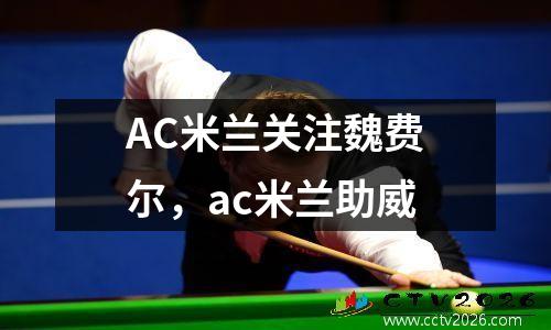 AC米兰关注魏费尔，ac米兰助威