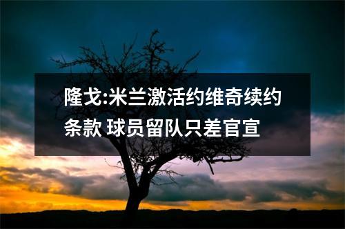 隆戈:米兰激活约维奇续约条款 球员留队只差官宣