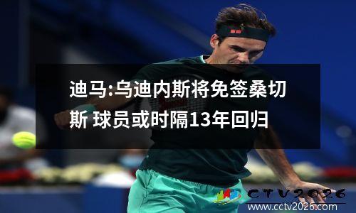 迪马:乌迪内斯将免签桑切斯 球员或时隔13年回归