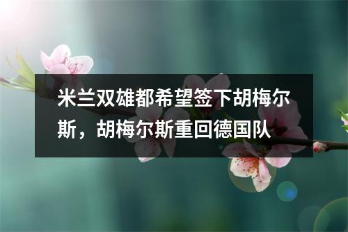 米兰双雄都希望签下胡梅尔斯，胡梅尔斯重回德国队