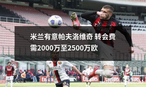米兰有意帕夫洛维奇 转会费需2000万至2500万欧