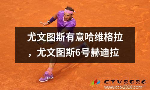 尤文图斯有意哈维格拉，尤文图斯6号赫迪拉