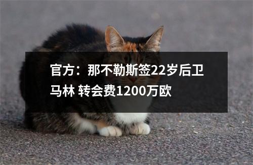 官方：那不勒斯签22岁后卫马林 转会费1200万欧