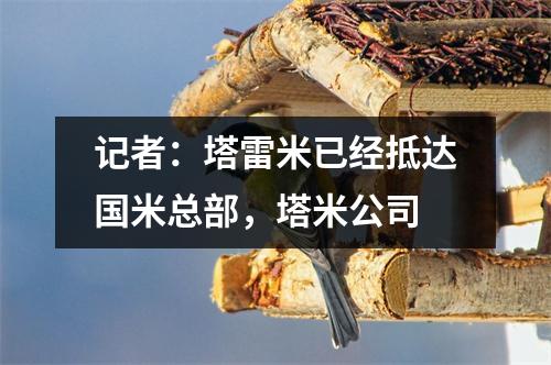 记者：塔雷米已经抵达国米总部，塔米公司