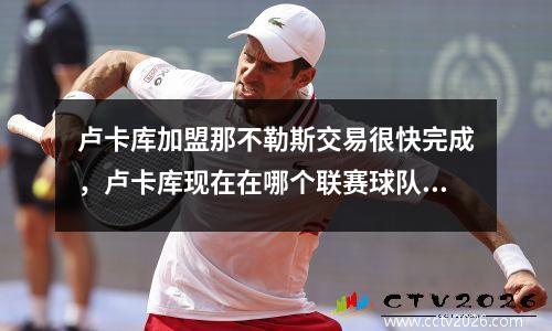 卢卡库加盟那不勒斯交易很快完成，卢卡库现在在哪个联赛球队效力