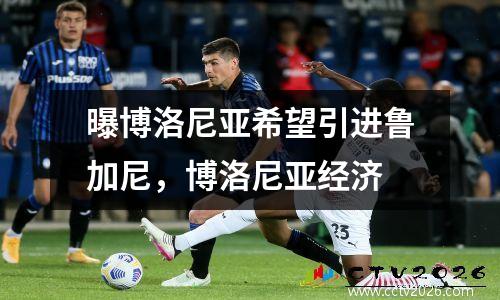 曝博洛尼亚希望引进鲁加尼，博洛尼亚经济