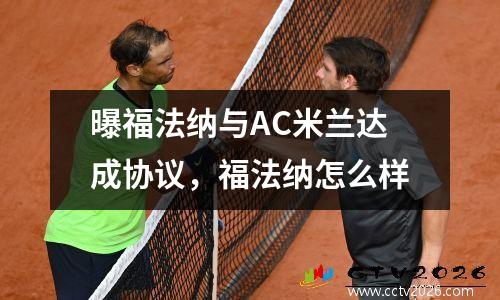 曝福法纳与AC米兰达成协议，福法纳怎么样