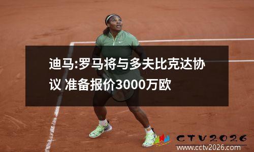 迪马:罗马将与多夫比克达协议 准备报价3000万欧
