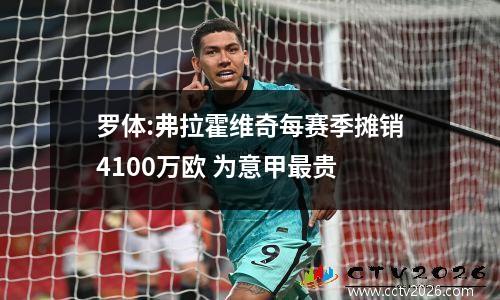 罗体:弗拉霍维奇每赛季摊销4100万欧 为意甲最贵