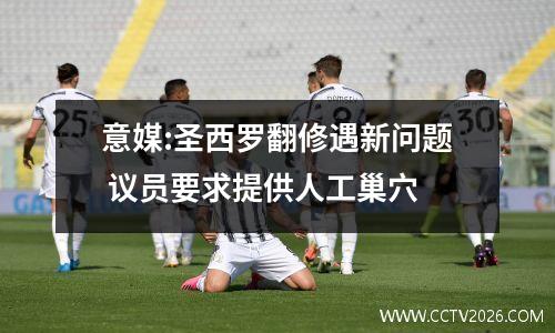 意媒:圣西罗翻修遇新问题 议员要求提供人工巢穴