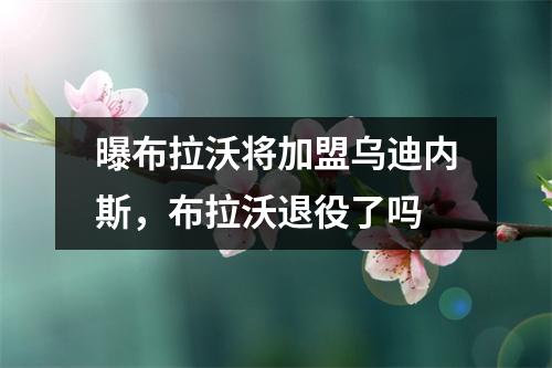 曝布拉沃将加盟乌迪内斯，布拉沃退役了吗
