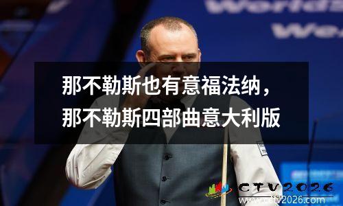 那不勒斯也有意福法纳，那不勒斯四部曲意大利版