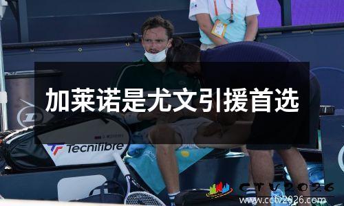 加莱诺是尤文引援首选
