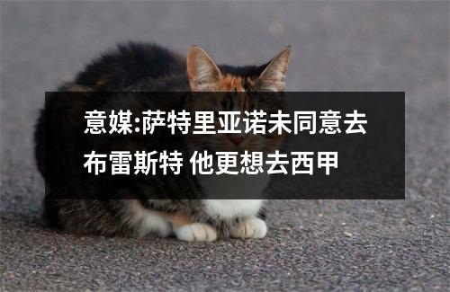意媒:萨特里亚诺未同意去布雷斯特 他更想去西甲