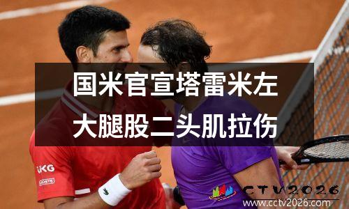 国米官宣塔雷米左大腿股二头肌拉伤