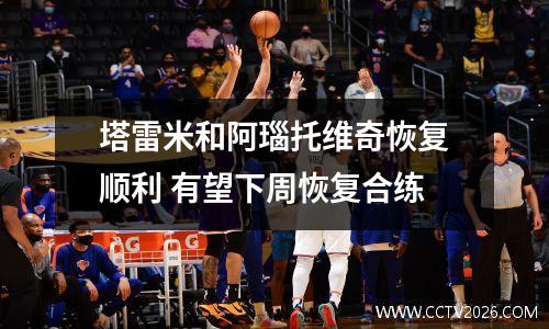 塔雷米和阿瑙托维奇恢复顺利 有望下周恢复合练