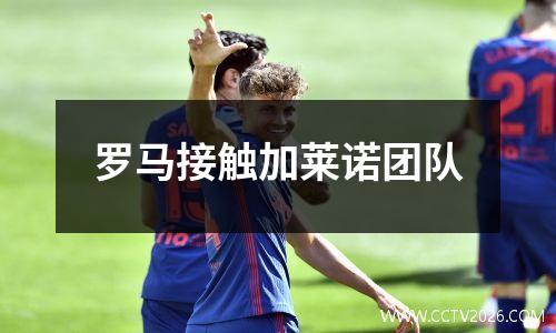 罗马接触加莱诺团队