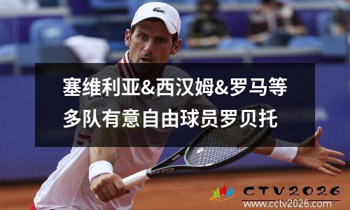 塞维利亚&西汉姆&罗马等多队有意自由球员罗贝托