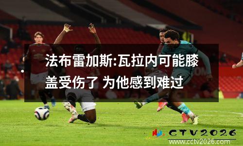 法布雷加斯:瓦拉内可能膝盖受伤了 为他感到难过