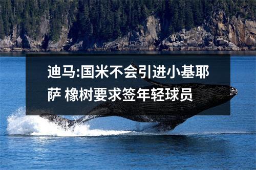 迪马:国米不会引进小基耶萨 橡树要求签年轻球员