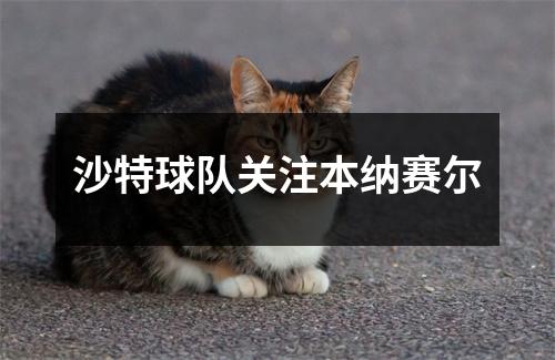 沙特球队关注本纳赛尔