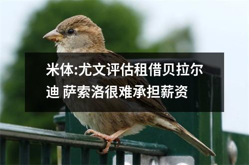 米体:尤文评估租借贝拉尔迪 萨索洛很难承担薪资