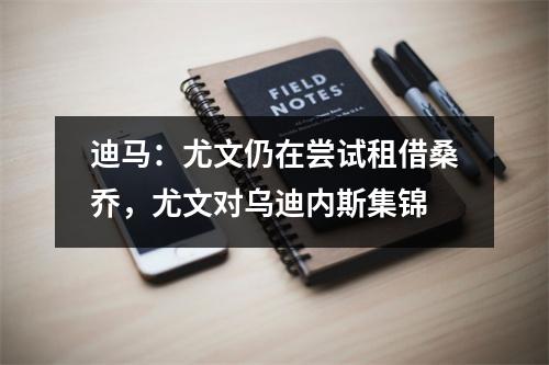 迪马：尤文仍在尝试租借桑乔，尤文对乌迪内斯集锦