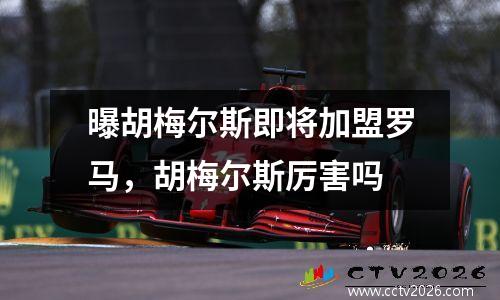 曝胡梅尔斯即将加盟罗马，胡梅尔斯厉害吗