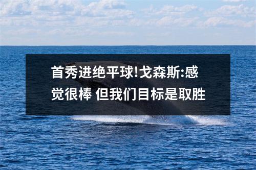 首秀进绝平球!戈森斯:感觉很棒 但我们目标是取胜