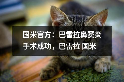 国米官方：巴雷拉鼻窦炎手术成功，巴雷拉 国米