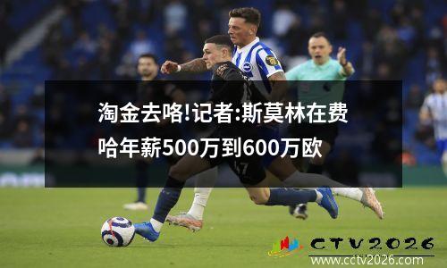 淘金去咯!记者:斯莫林在费哈年薪500万到600万欧