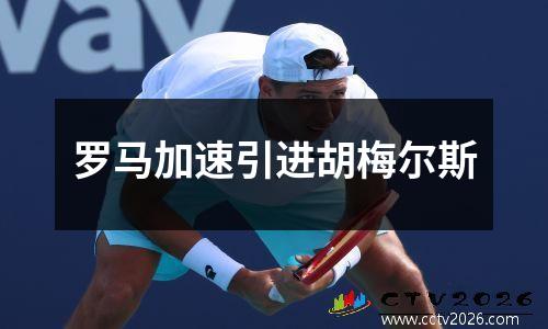 罗马加速引进胡梅尔斯