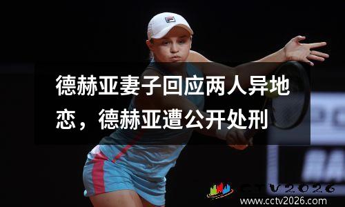 德赫亚妻子回应两人异地恋，德赫亚遭公开处刑