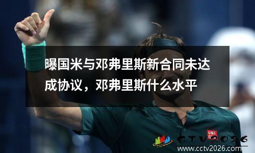 曝国米与邓弗里斯新合同未达成协议，邓弗里斯什么水平