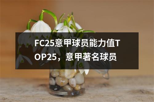 FC25意甲球员能力值TOP25，意甲著名球员